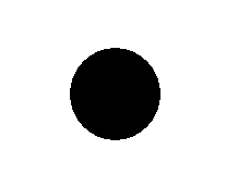 Just a black dot?